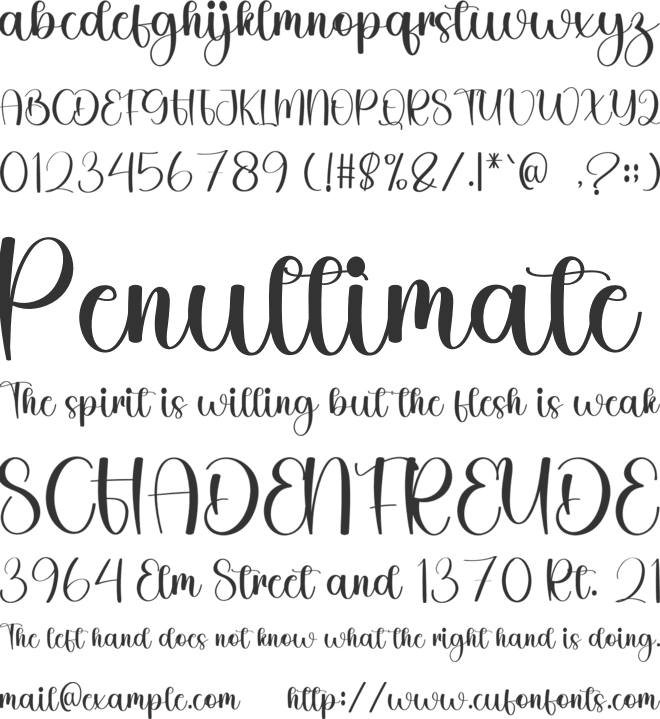 Summer Magnolia font preview