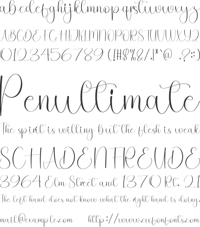 The Notes font preview