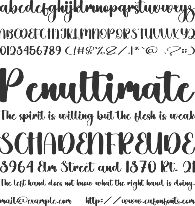 Daisies Beautiful font preview