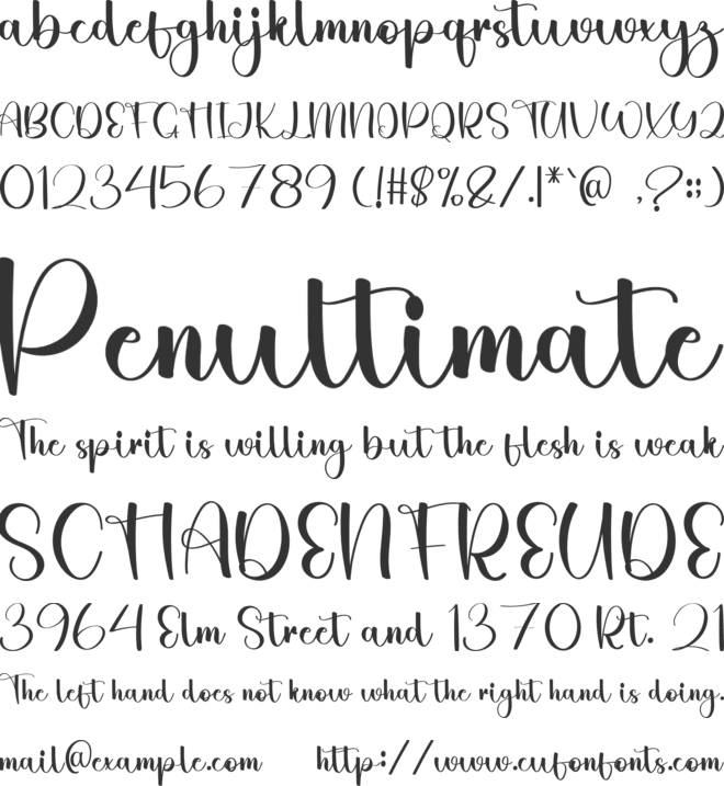 Christmas Magnolia font preview