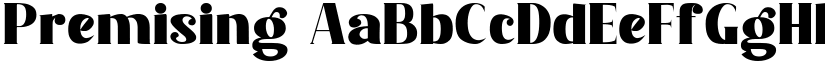 Premising font download