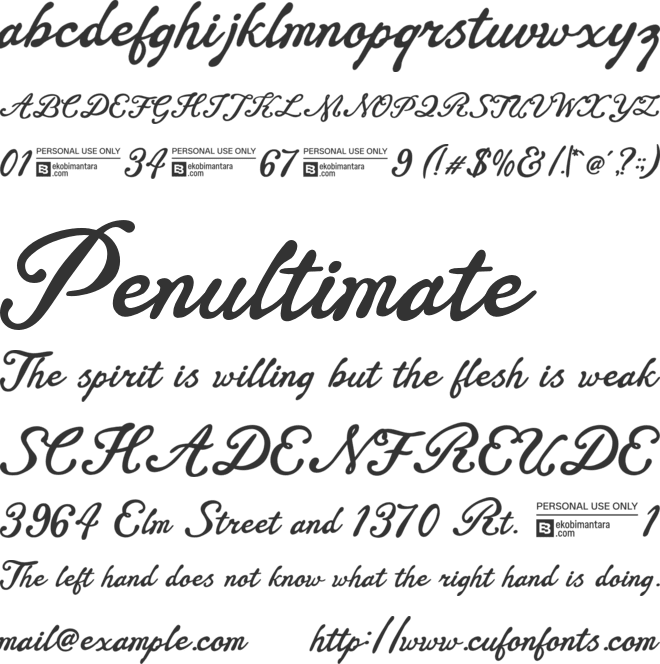 Sunset Palm Trial font preview