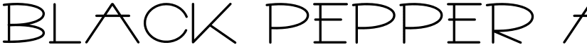 Black Pepper font download