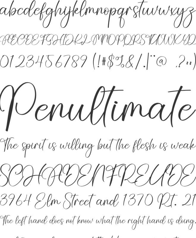 Bride font preview