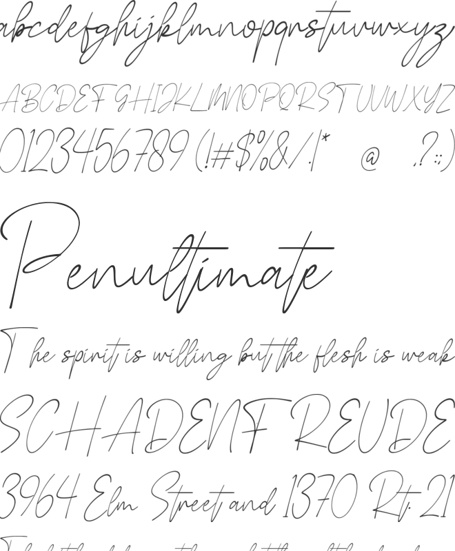 Natacha font preview