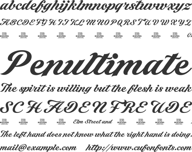Latenza Script PERSONAL USE font preview
