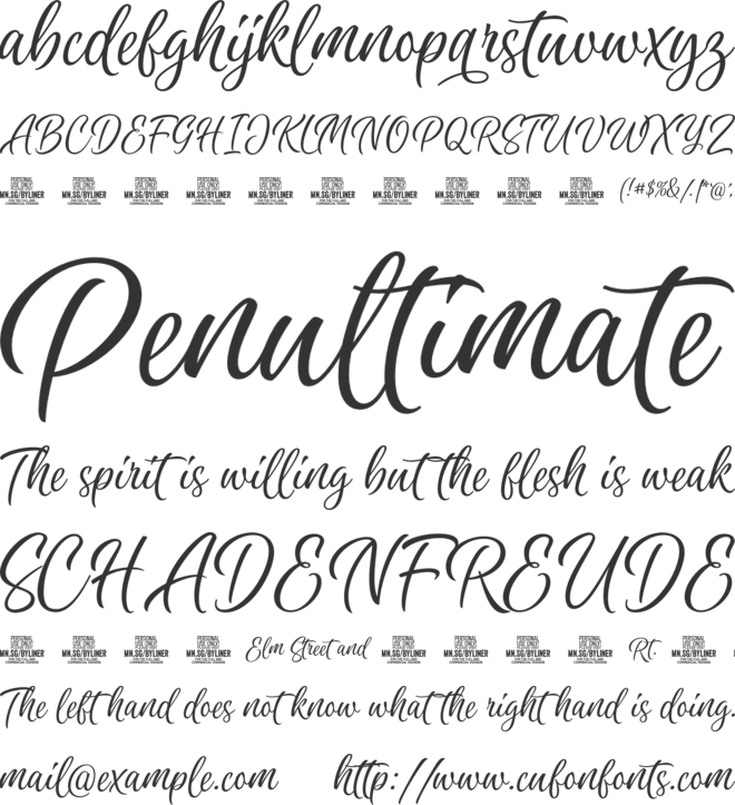 Byliner Script PERSONAL USE font preview
