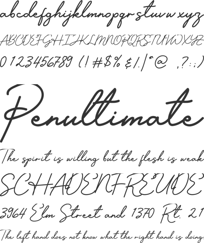 Designer Signature font preview