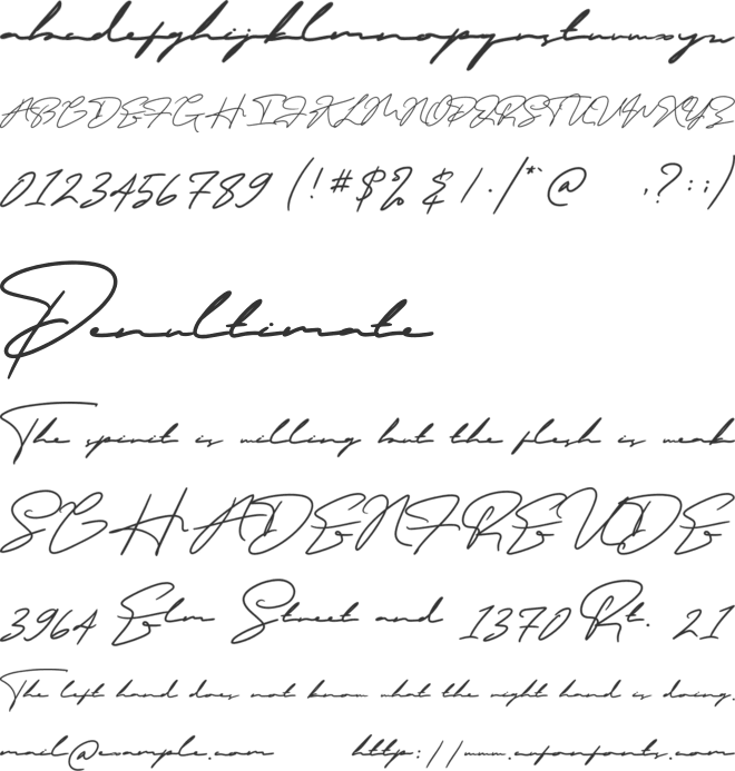 Masculin font preview