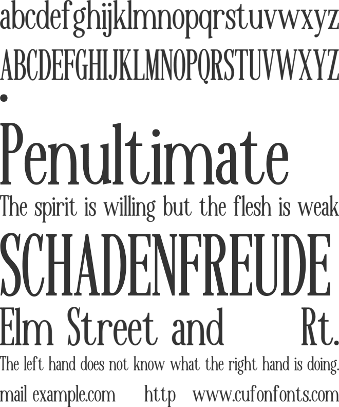 MAERISON SERIF font preview
