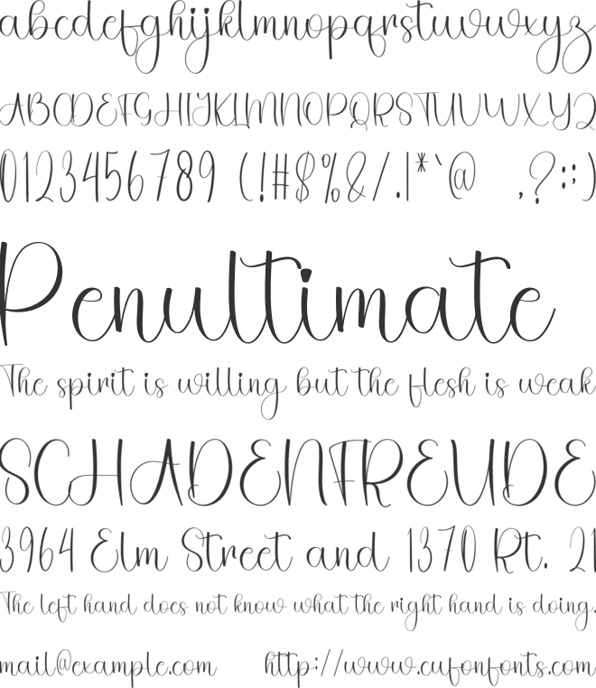 Bohoho font preview