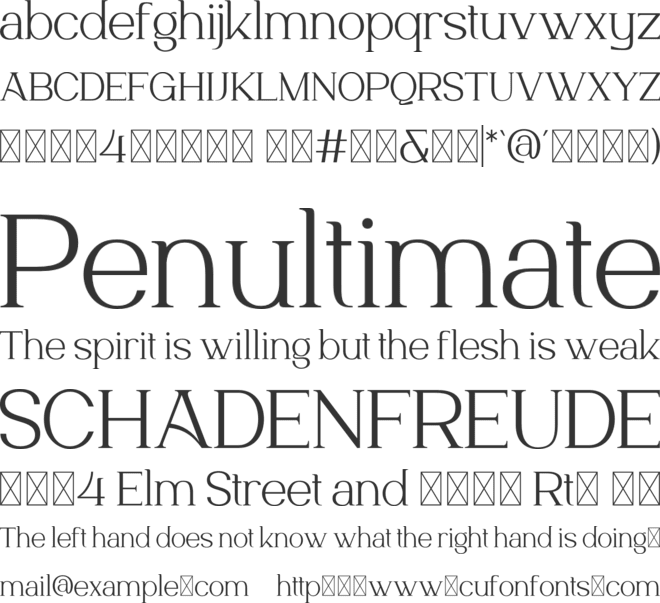 Norriex Trial font preview