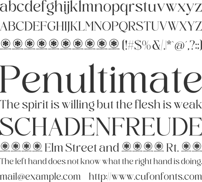 Midnight Cafe Society font preview