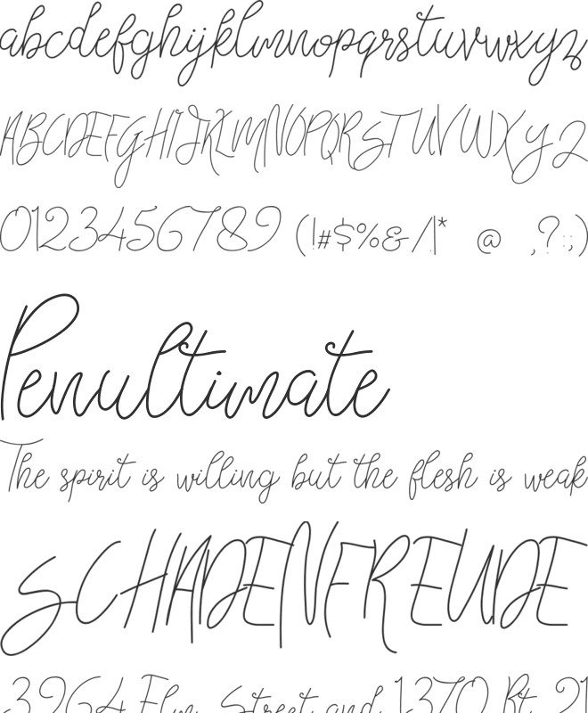 Bellievia Script font preview