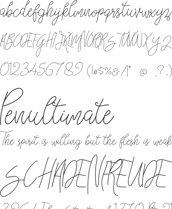 Bellievia Script font preview