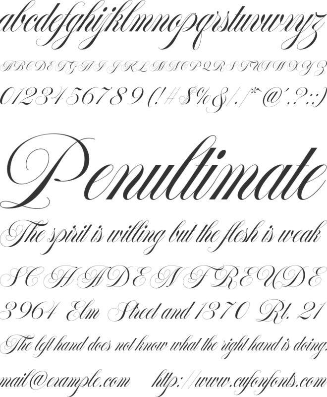 Francy Tiguan font preview