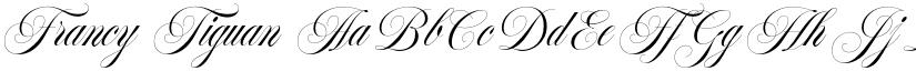 Francy Tiguan font download
