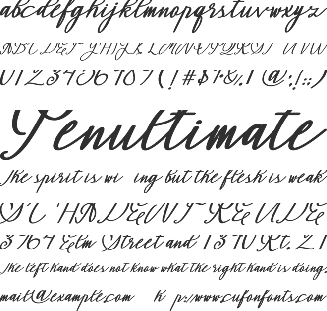Montapallier (BOLD ITALIC) font preview