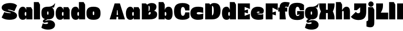 Salgado font download