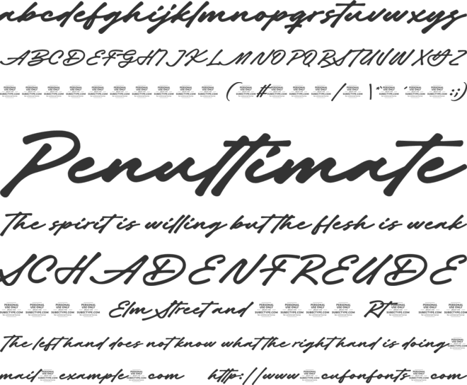 Master Signature font preview
