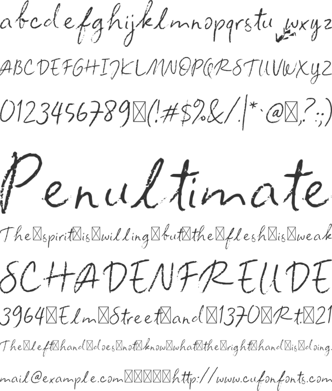Front Picture font preview