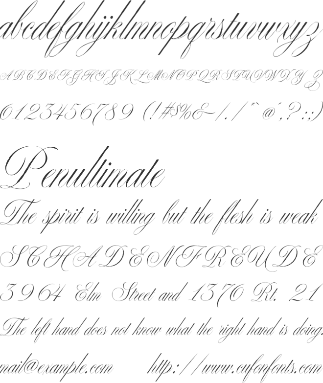 Premierre Marsiella font preview