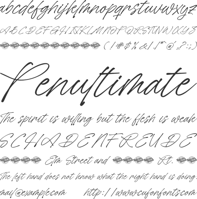 Wild Belmarty font preview