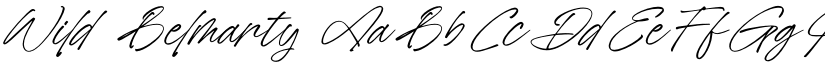 Wild Belmarty font
