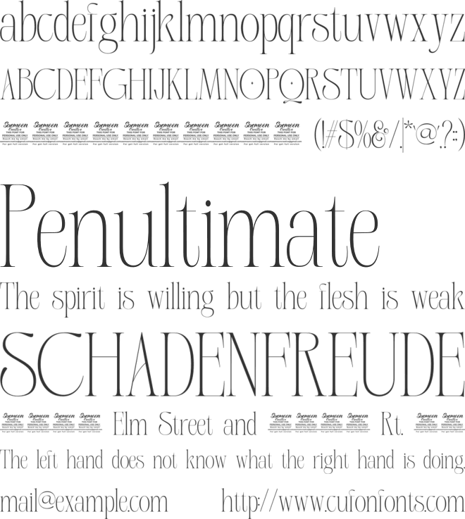 Sinvia Personal Use Only font preview