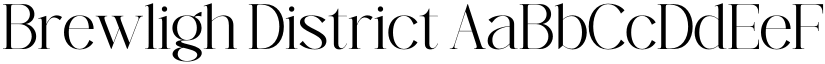 Brewligh District font
