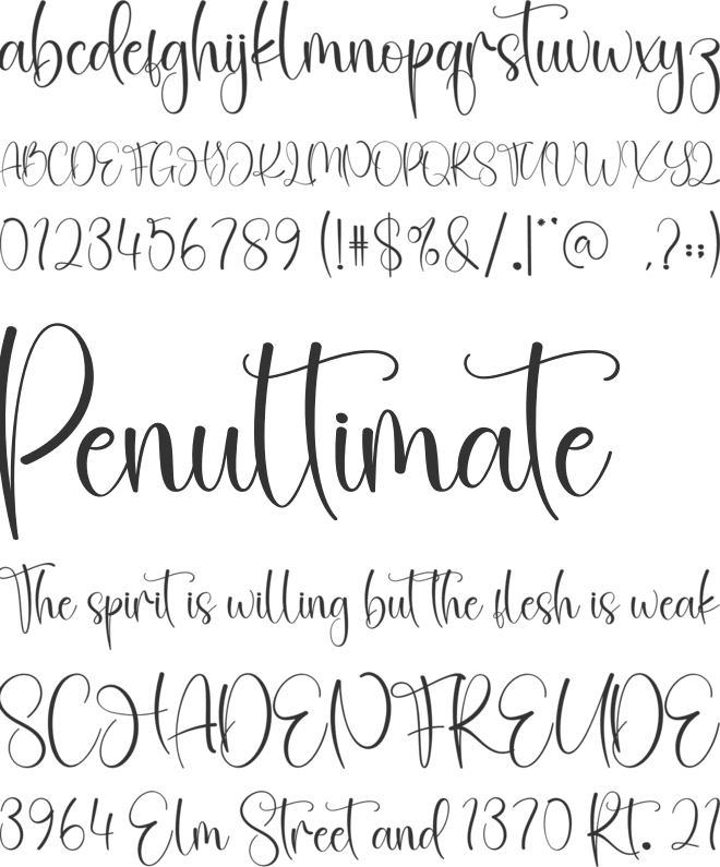 Vacation Signature font preview