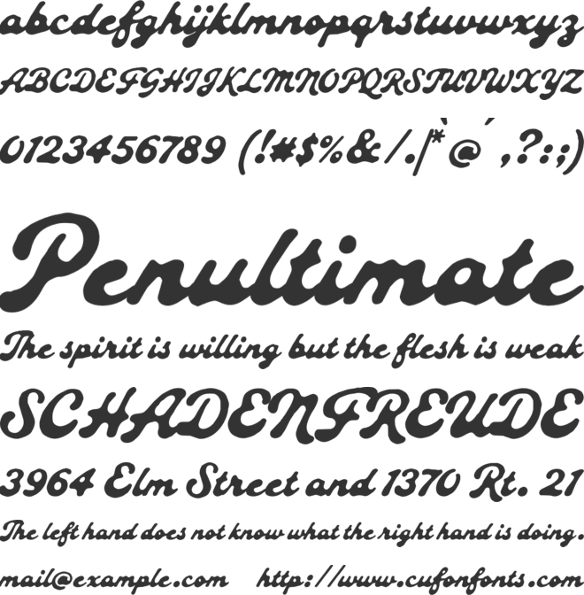 Roadster Customs Script font preview