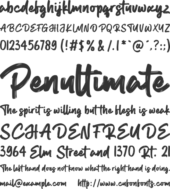 Roasted Brisket font preview