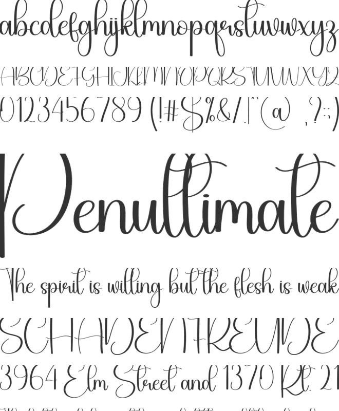 Daytime font preview