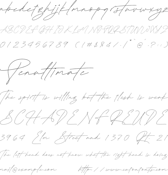 Plamstimes font preview