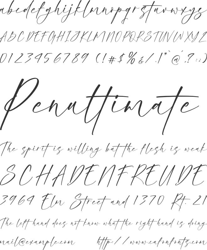 Blissful Harmony font preview