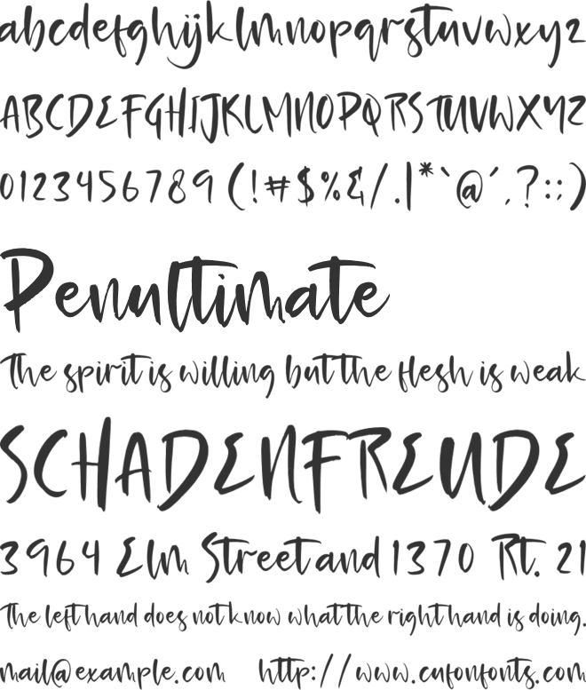 Splash Tropical font preview