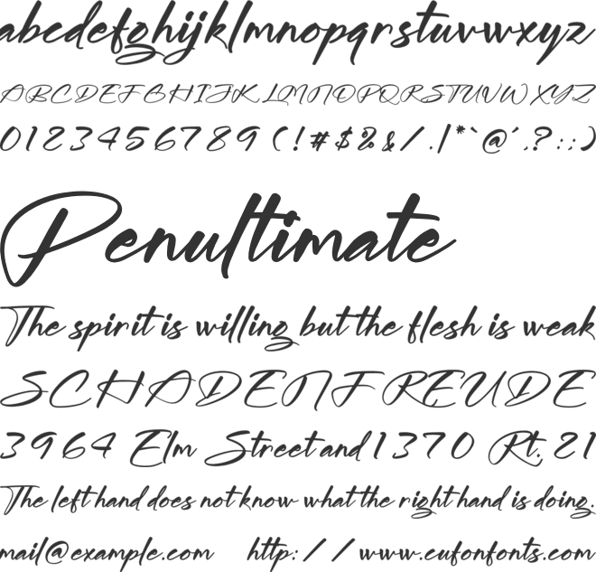 Midnight Sneaker font preview