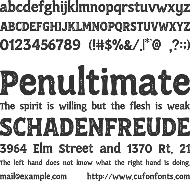 RT Wildkins font preview