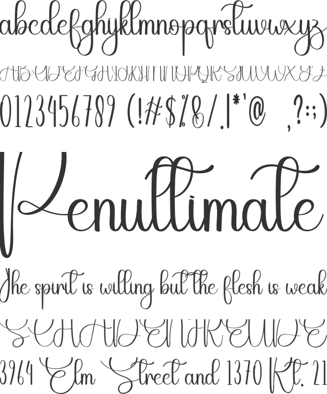 Bakery font preview