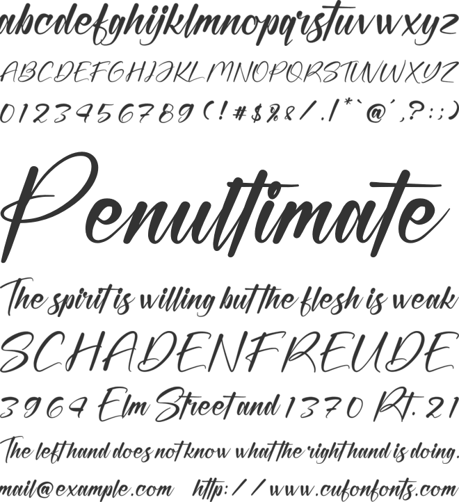Natural Botanicals font preview