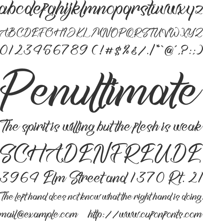 Backing font preview