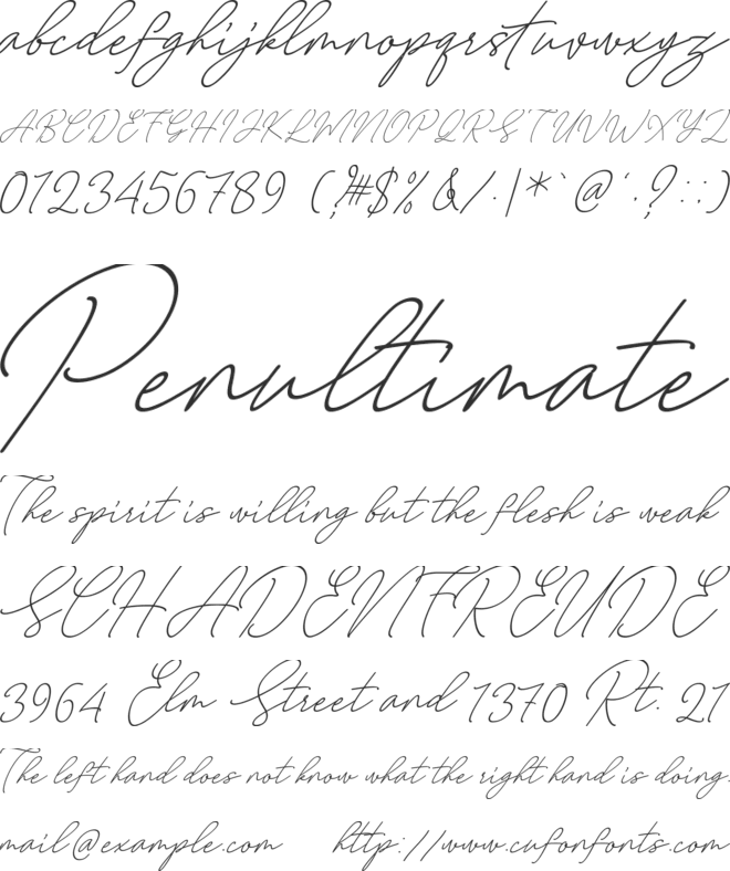 August Script Bold free font preview