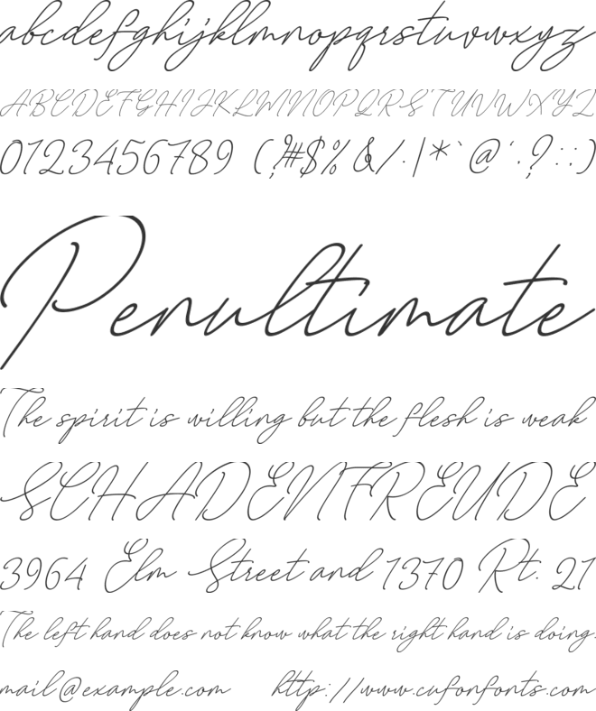 August Script Bold free font preview