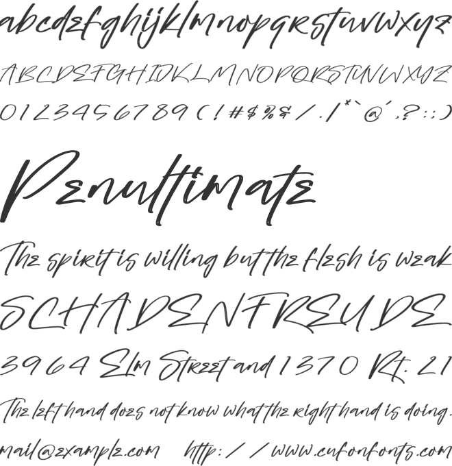 Tropicalist font preview