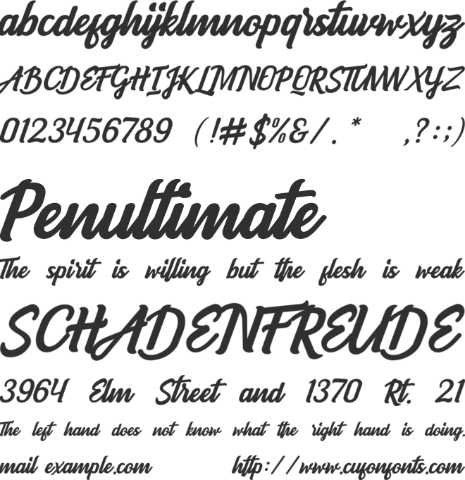 Boulevard Script font preview