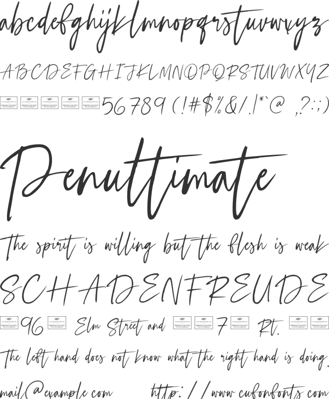 Selestia Signature Free font preview