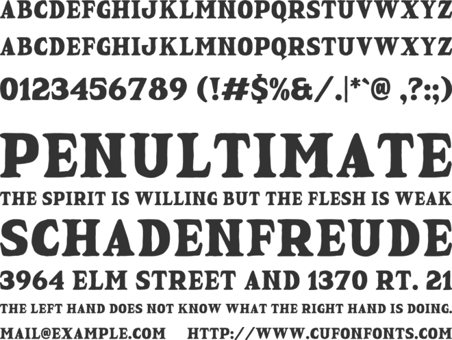 Nolton Vintage font preview