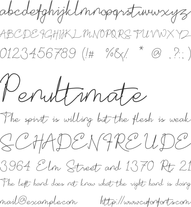 Rogertone Cursive Calligraphy Signature font preview