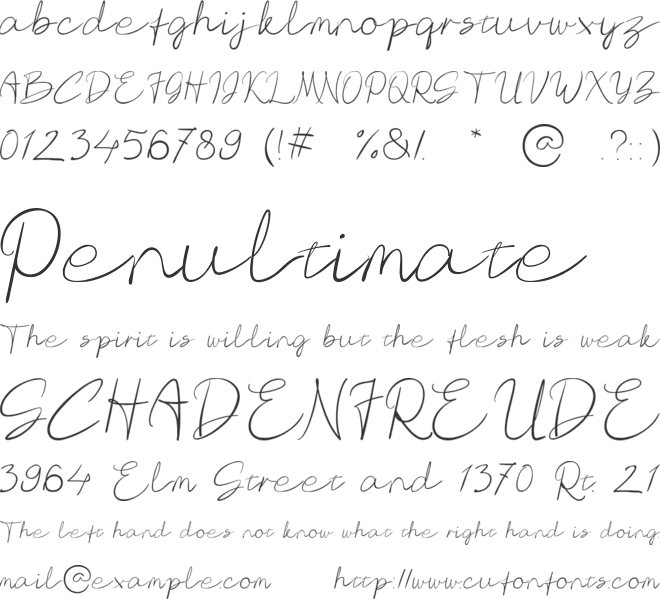 Rich Rebecca Feminine Romantic Wedding font preview